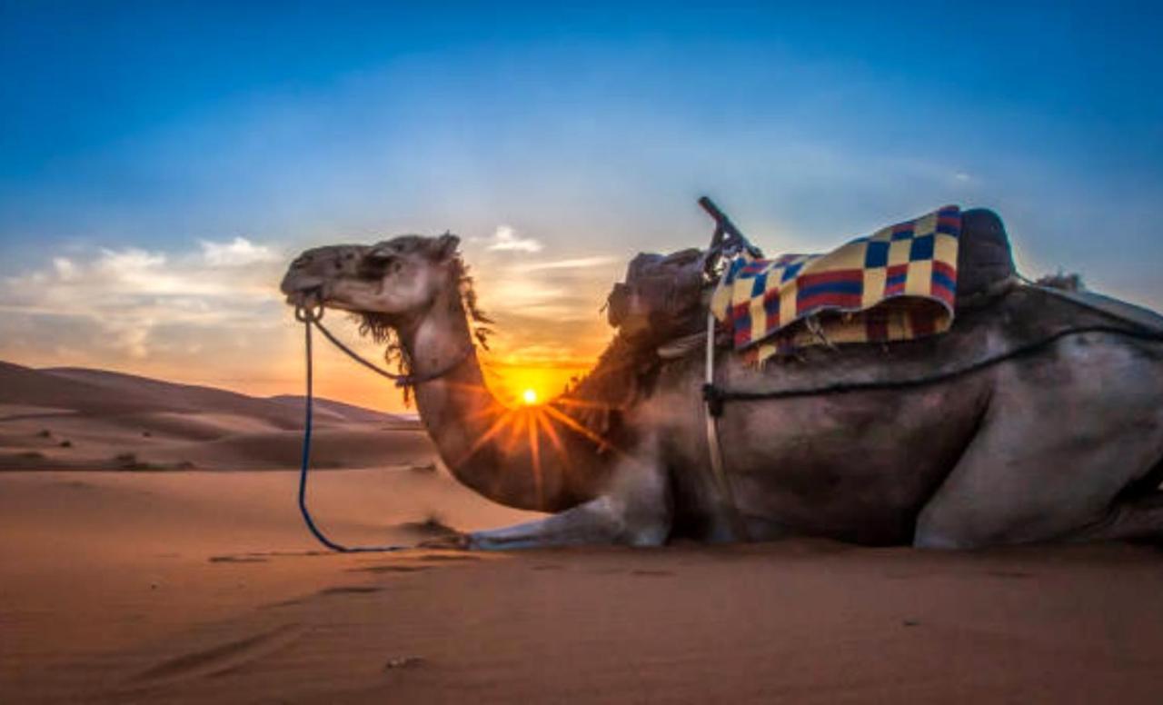 Holiday Desert Camp เมอร์ซูกา ภายนอก รูปภาพ